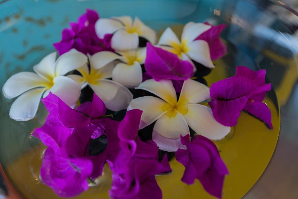 Villa Lodge 4 Epices Gustavia Luaran gambar